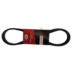Pasek klinowy wielorowkowy 7PK1035G