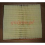 Filtr powietrza ORG 165464407R